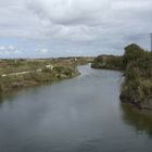 L'île d'Oléron en aout