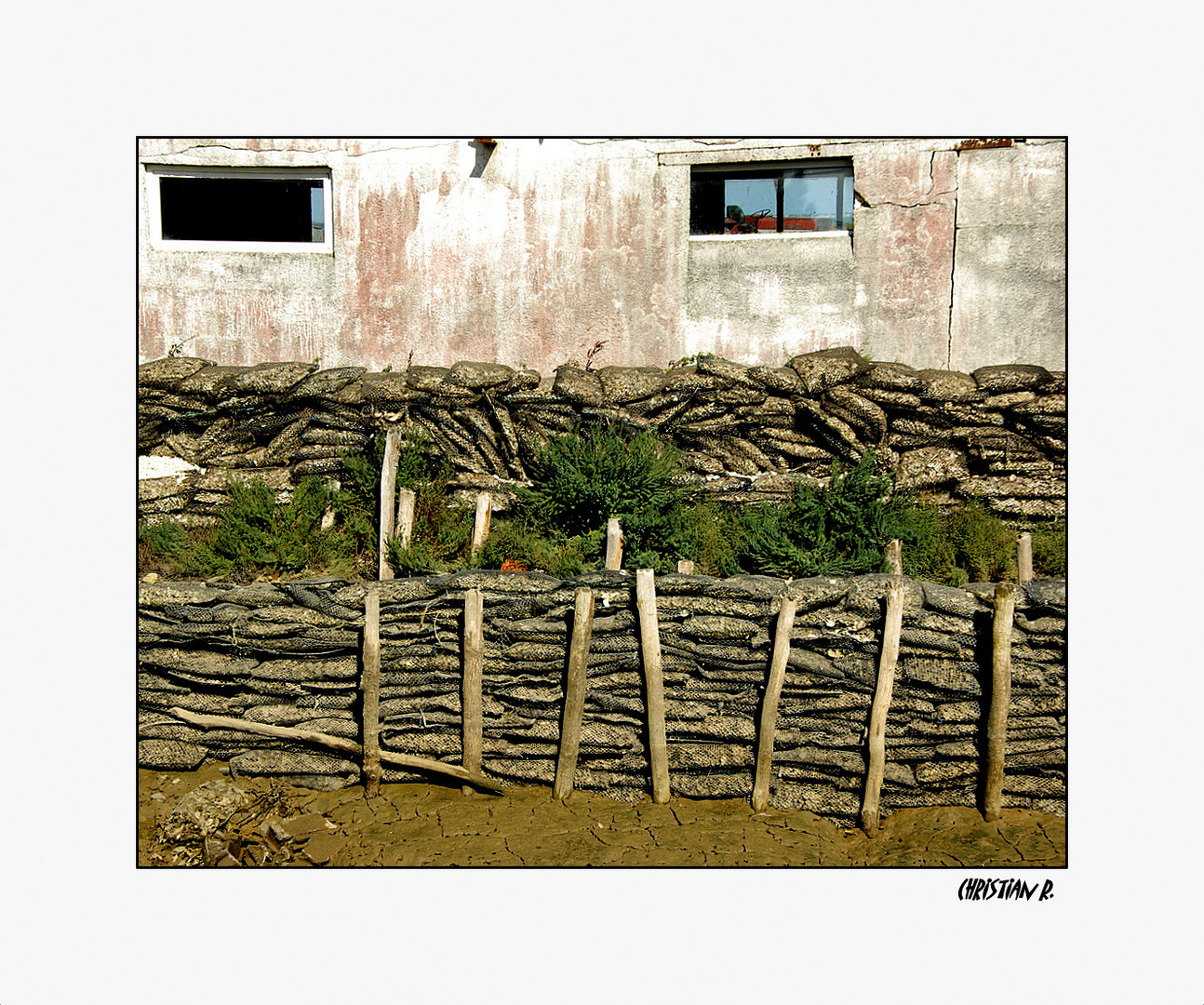 L'Île d'Oléron:ses cabanes colorées,ses huitres,sa vase...