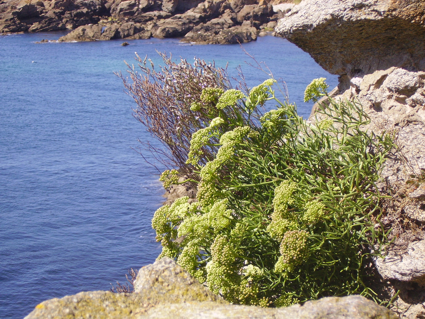 L'île d'yeu