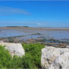 L’Île Madame et l’estran de la Passe aux Bœufs vus de la côte