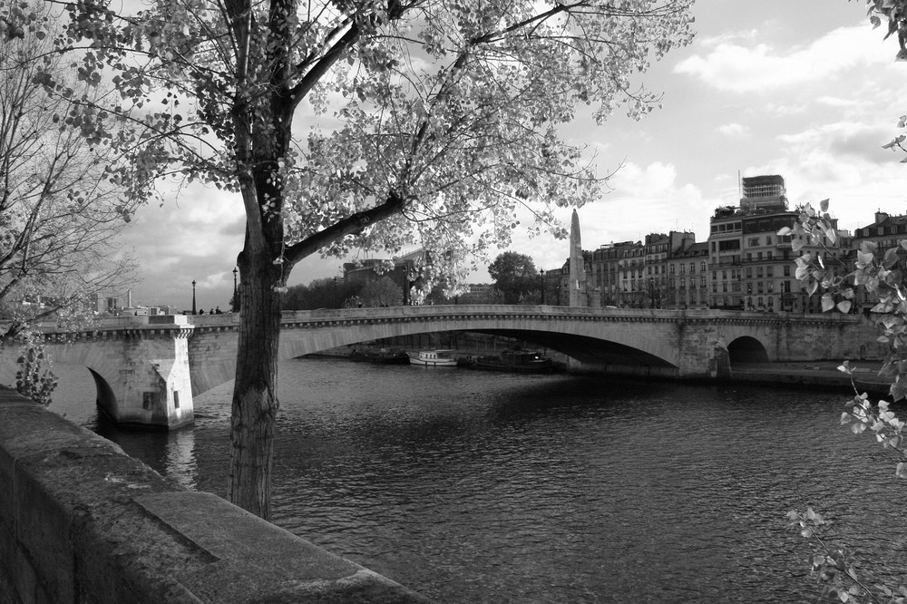 L'île Saint Louis le 11 novembre...