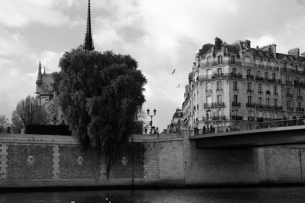 L'île Saint Louis le 11 novembre... La suite