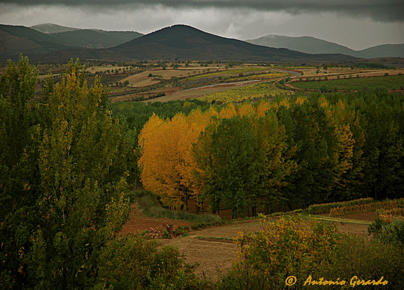 ¿ Llega el Otoño ?