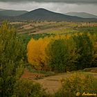 ¿ Llega el Otoño ?