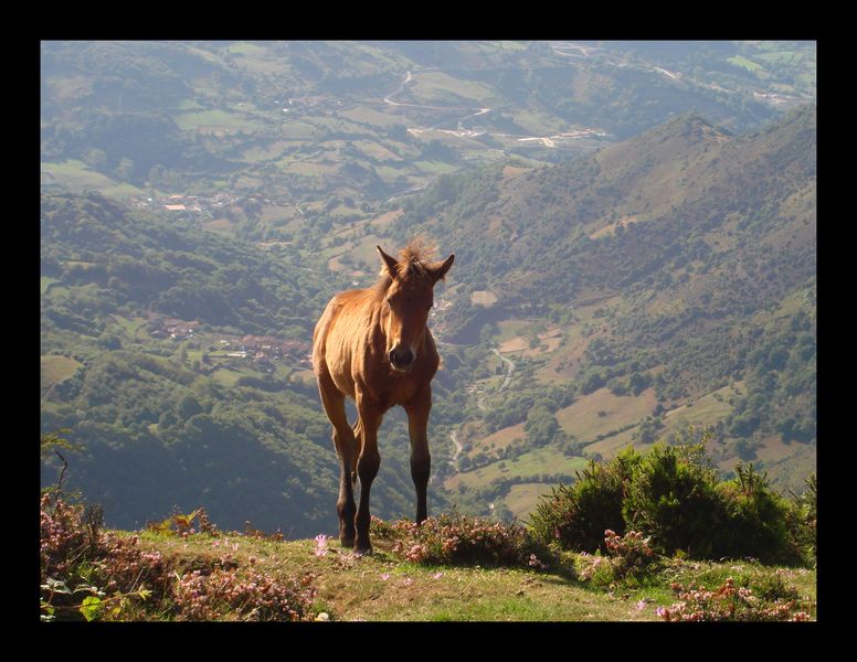 llegando a la cima