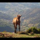 llegando a la cima