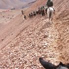 llegando al refugio andino - Arriving to an Andinian refuge