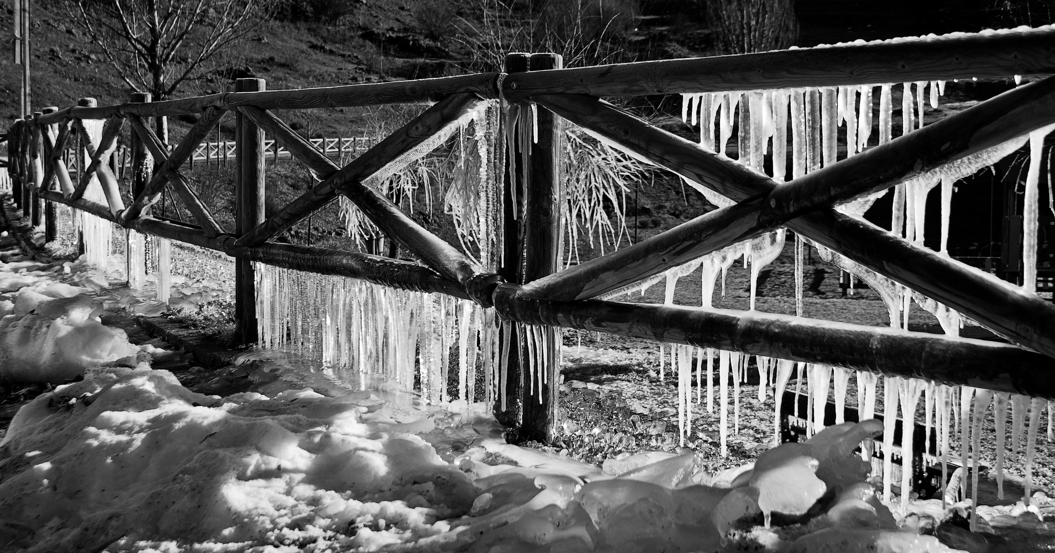 LLegó el duro invierno