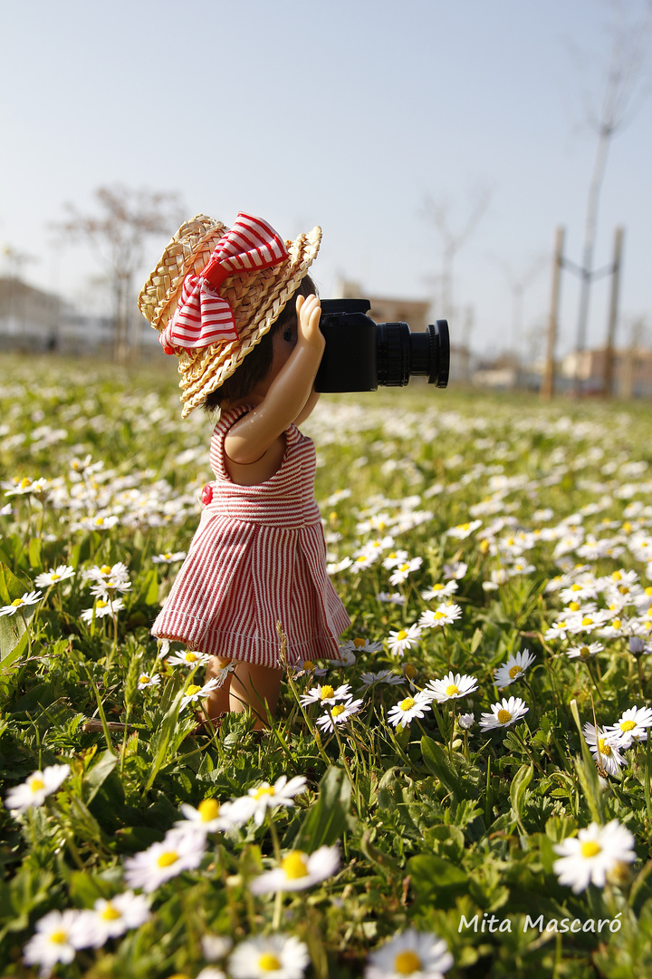 Llegó la primavera !!