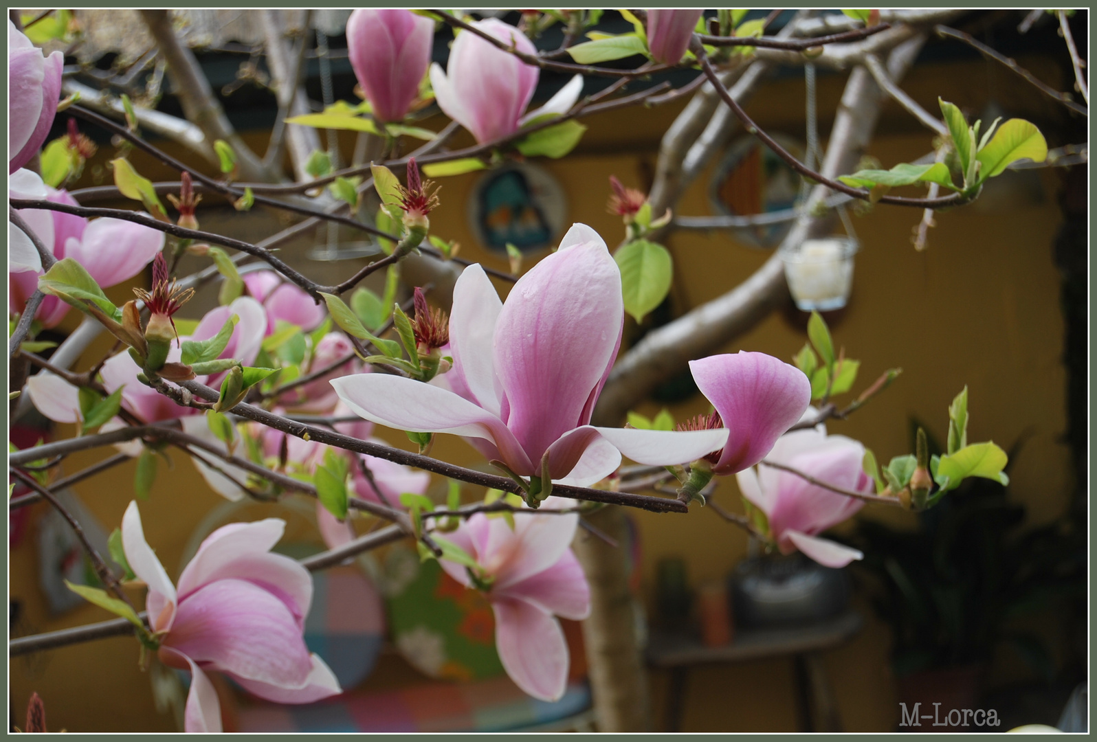 llego la primavera