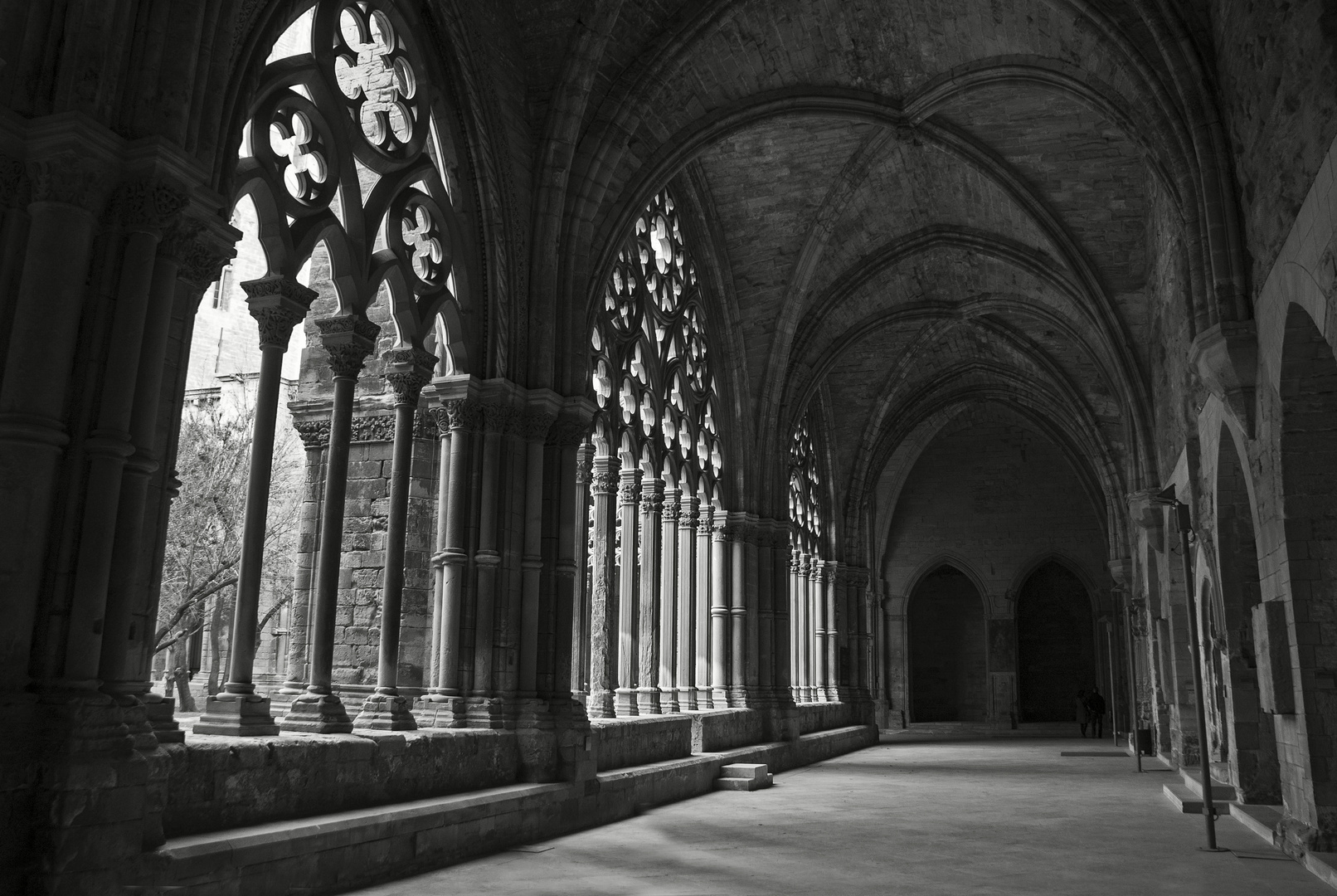 Lleida. La Seu Vella. De pedres i silencis