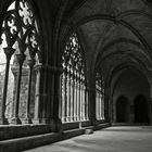 Lleida. La Seu Vella. De pedres i silencis