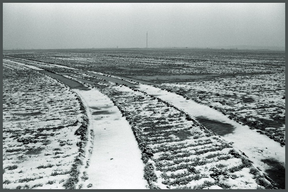 lLetzte Winterspuren