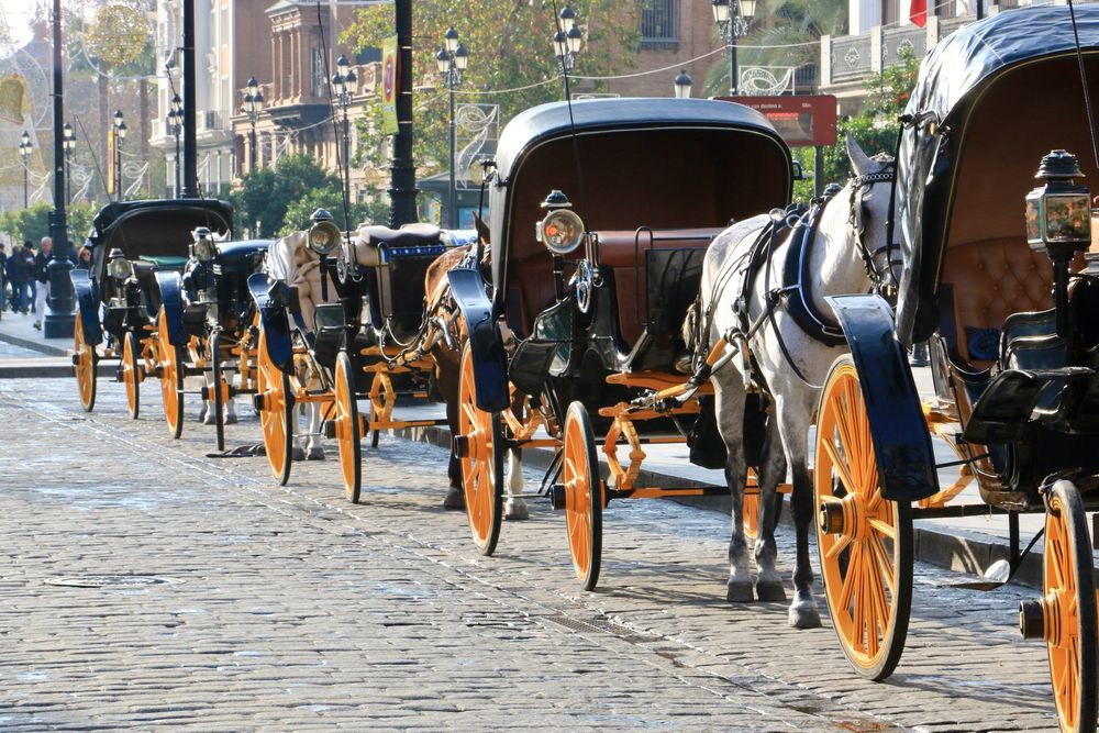 Llevan a los turistas a ver SEVILLA