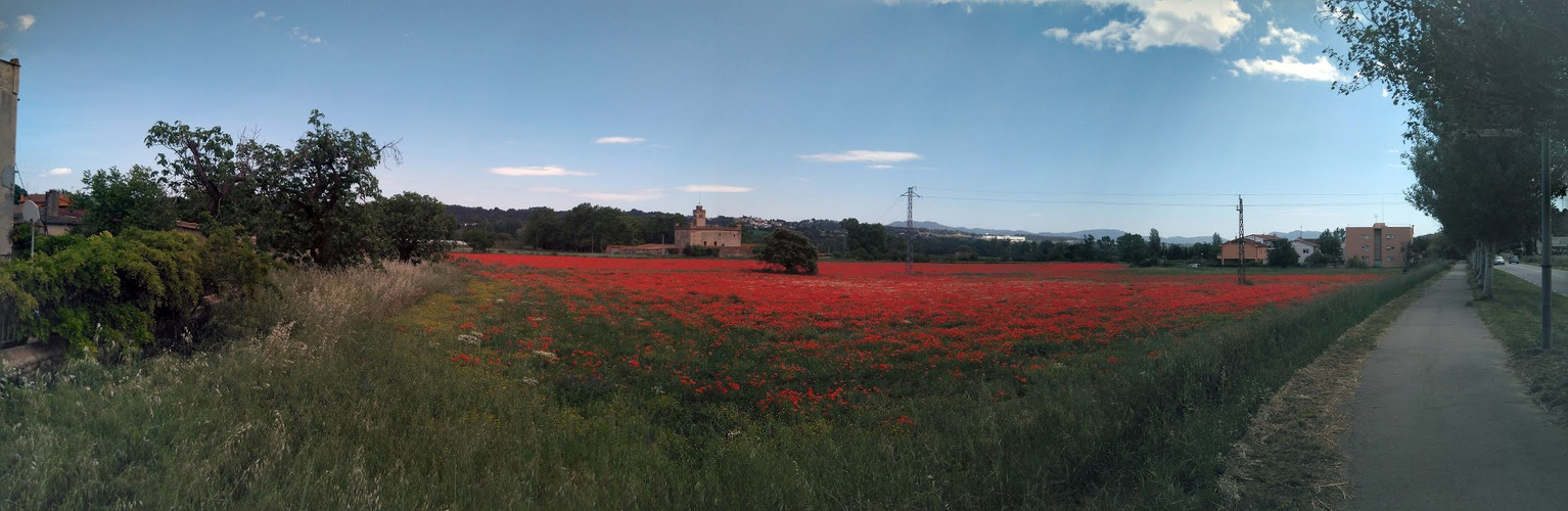 Lliçà d'Amunt