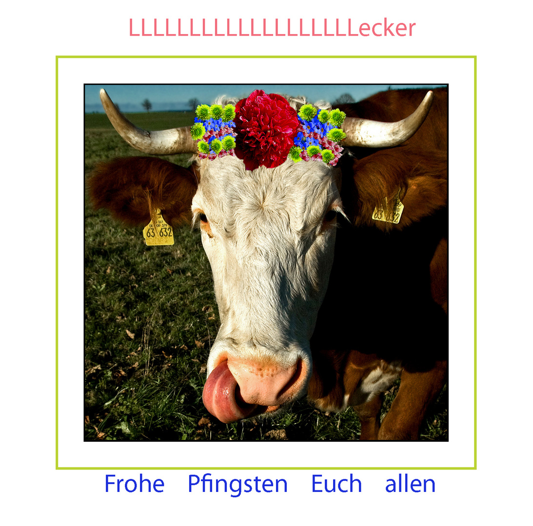 LLLLLLLLecker