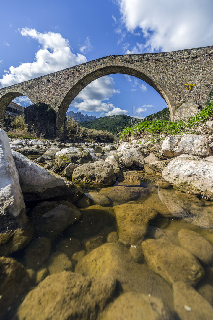 Llobregat river under the bridge