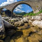 Llobregat river under the bridge