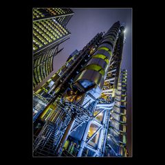 Lloyd's