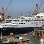 Lloydwerft bei Kaiserwetter