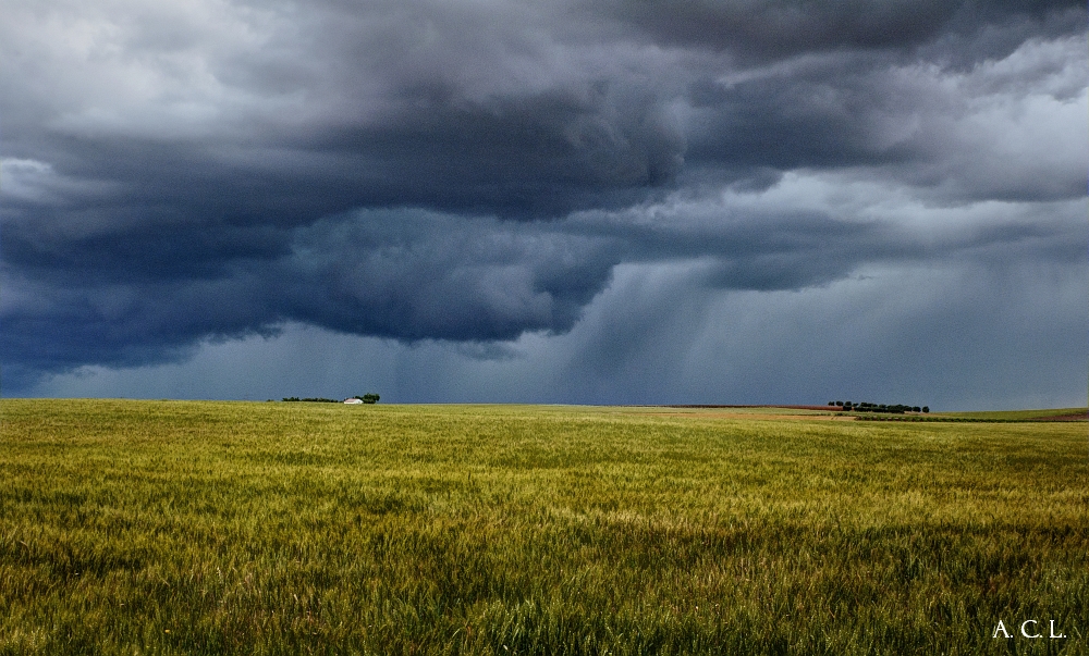 Lluvia de primavera