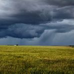 Lluvia de primavera