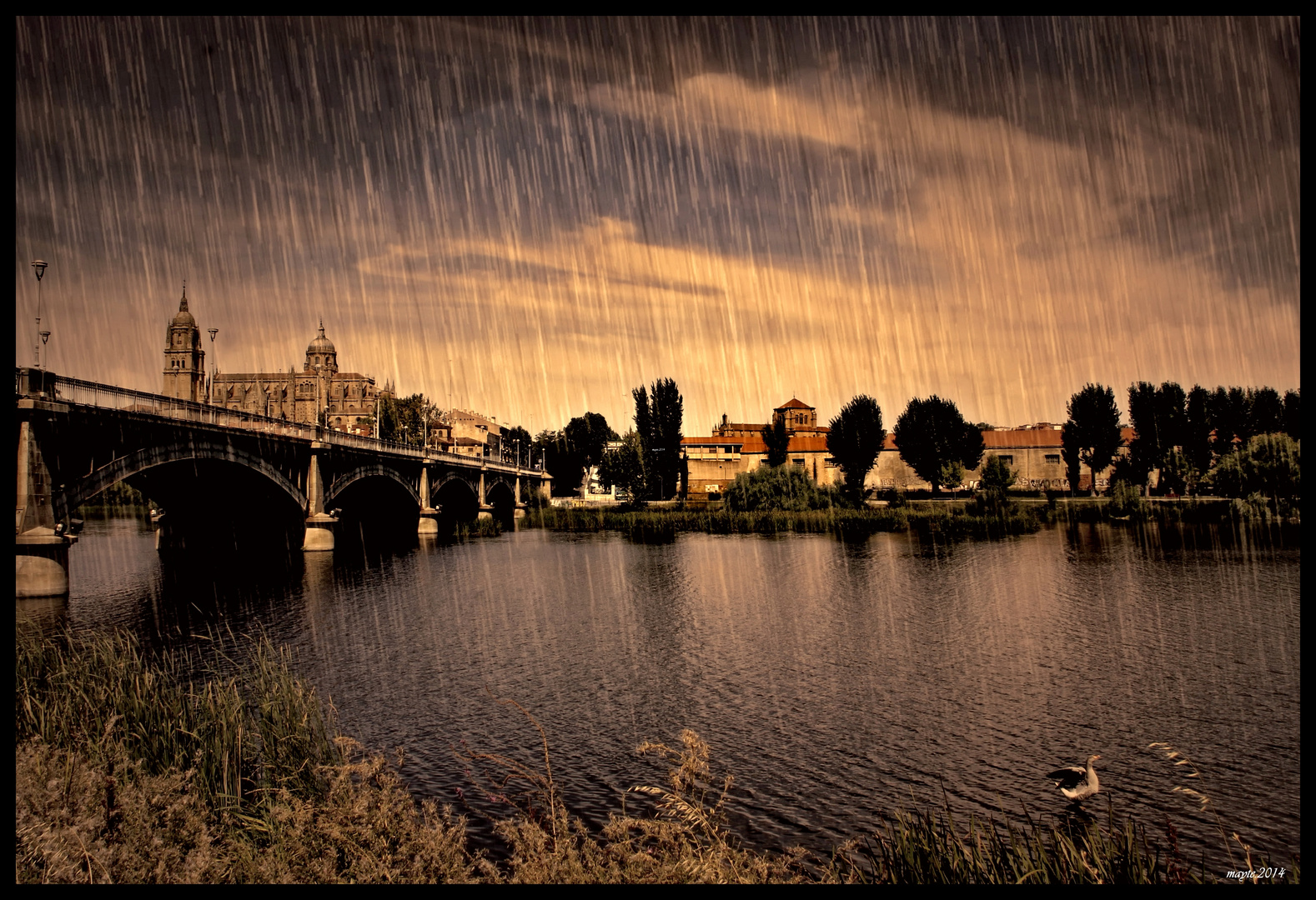 Lluvia de verano....