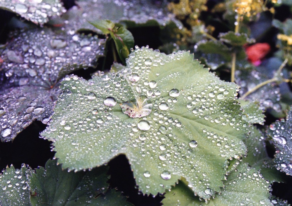 Lluvia en Irlanda