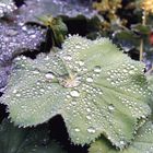 Lluvia en Irlanda