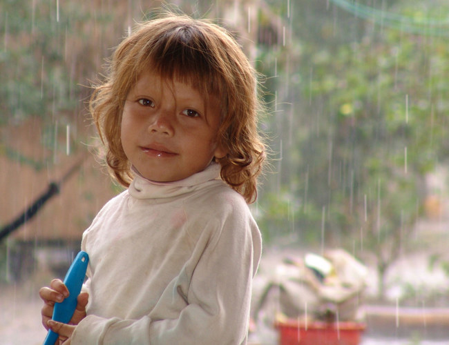 Lluvia en la Selva - Rain in Peru