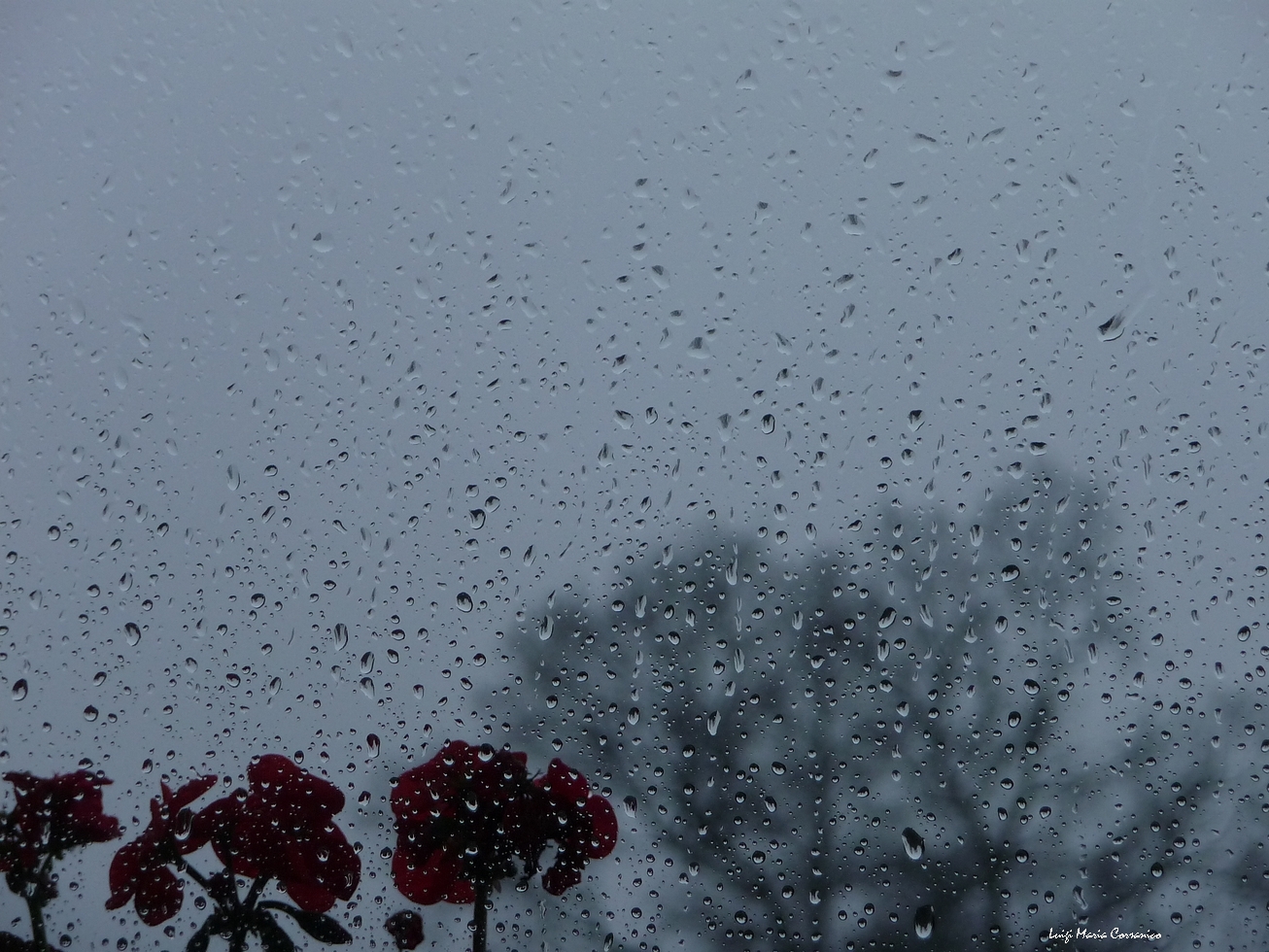 Lluvia en mi ventana