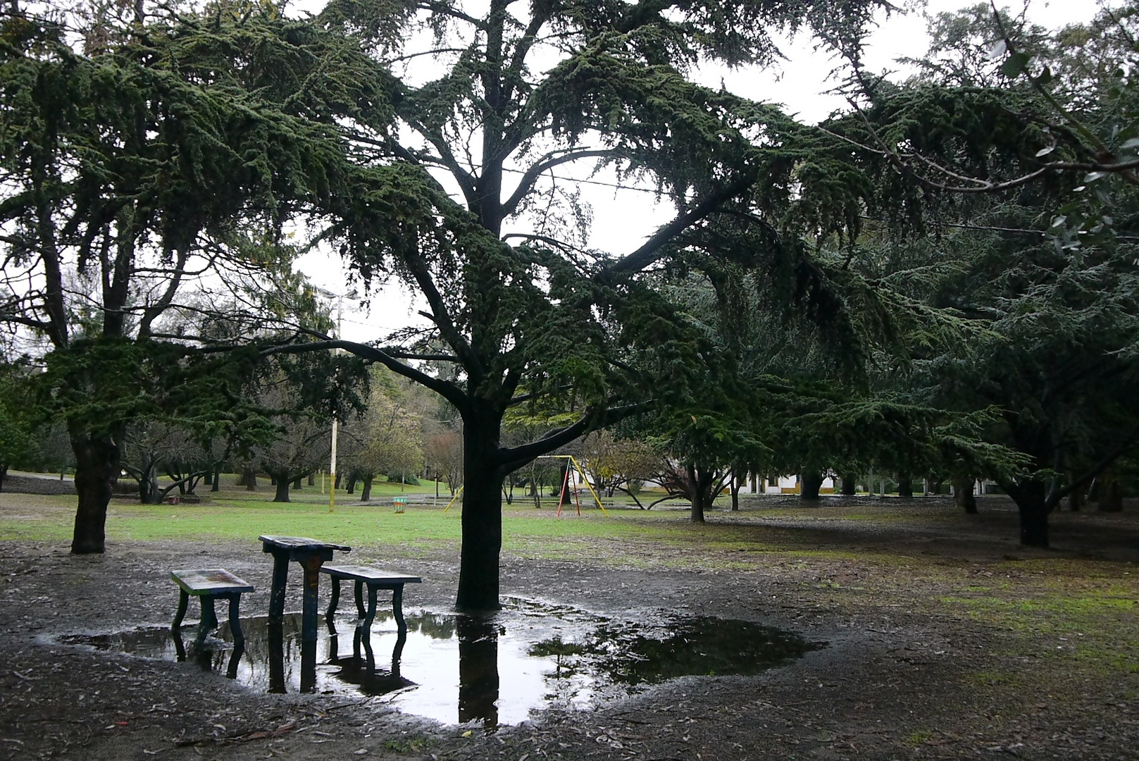 lluvia en parque