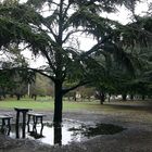 lluvia en parque