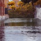 Lluvia necesaria  -  Pluja necessària