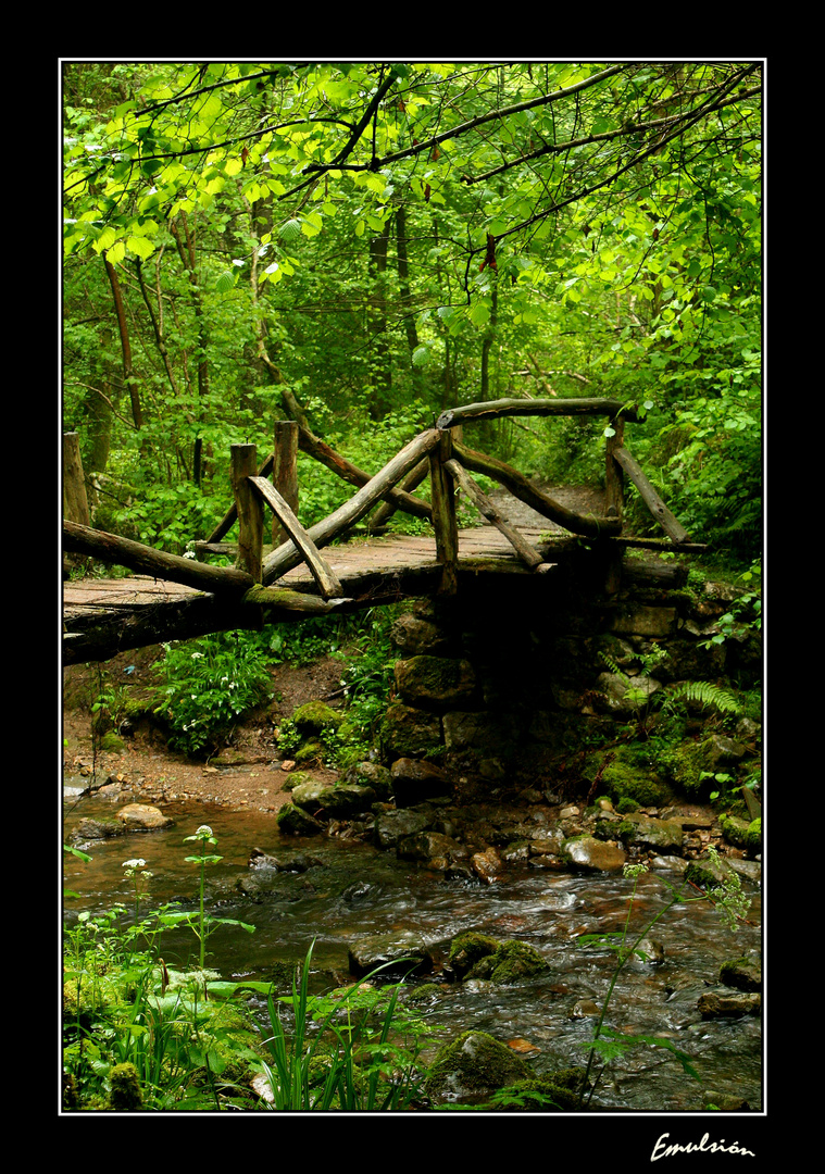 Lluvia, puente, arroyo