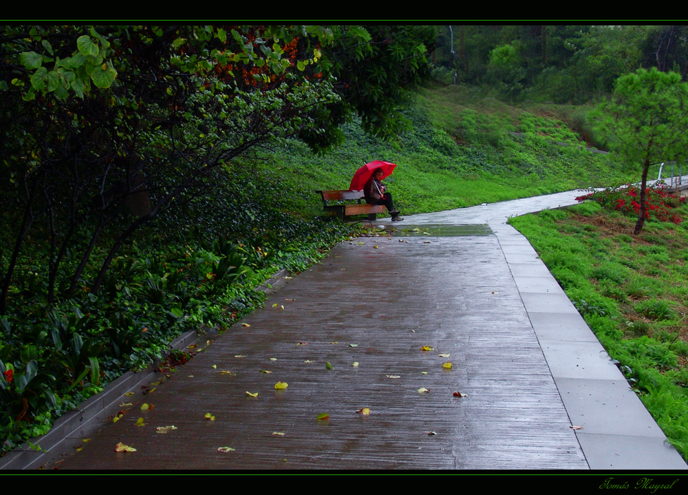 Lluvia Triste de Otoño