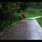 Lluvia Triste de Otoño