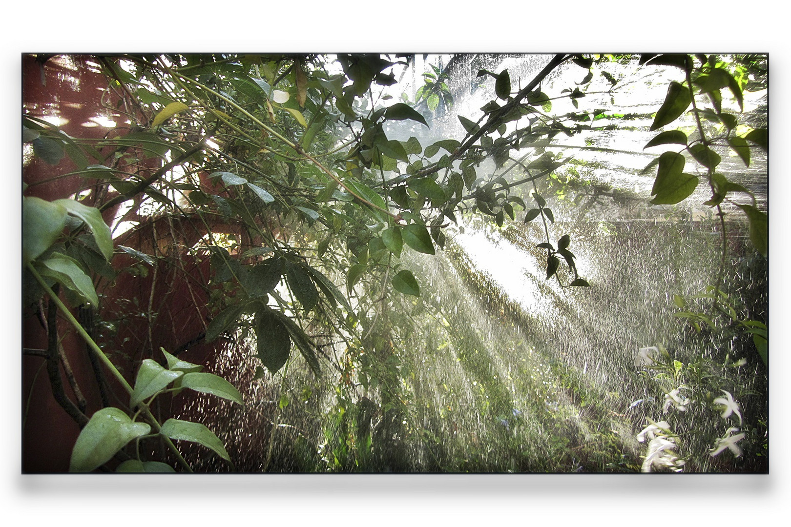 Lluvia y luz