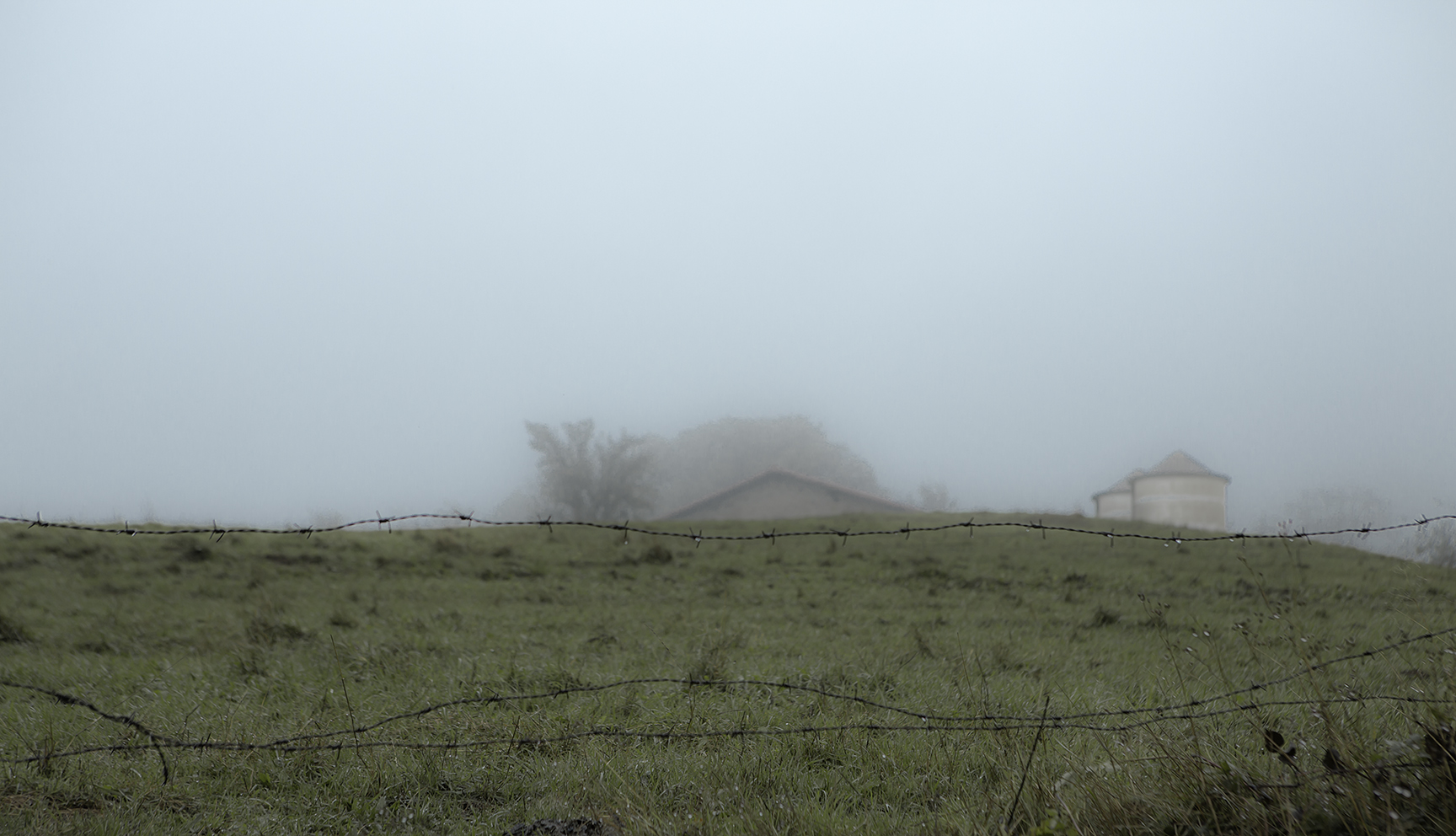 Lluvia y Niebla