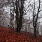 Lluvia y silencio