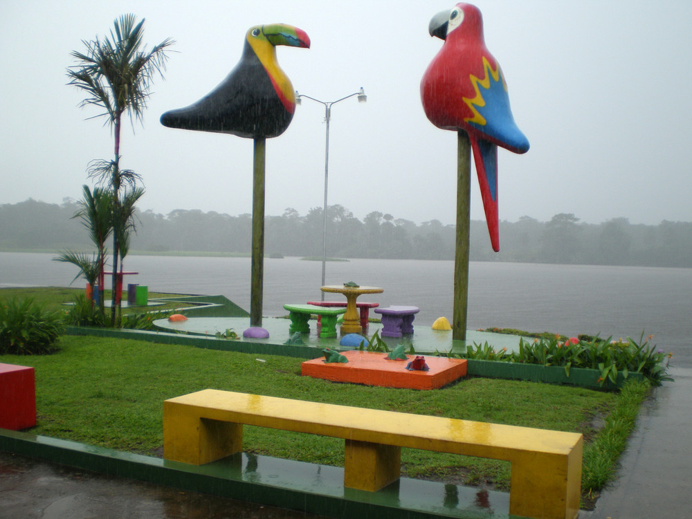 lluvia y viento,parque solitario