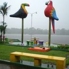 lluvia y viento,parque solitario