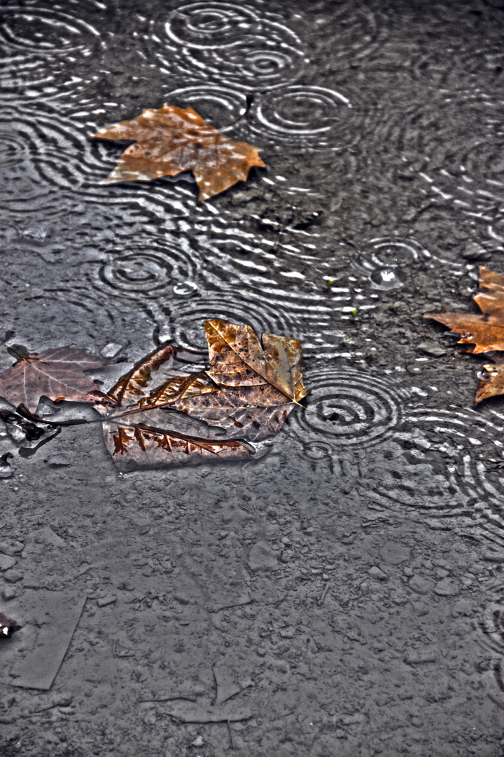 LLuvias otoñales