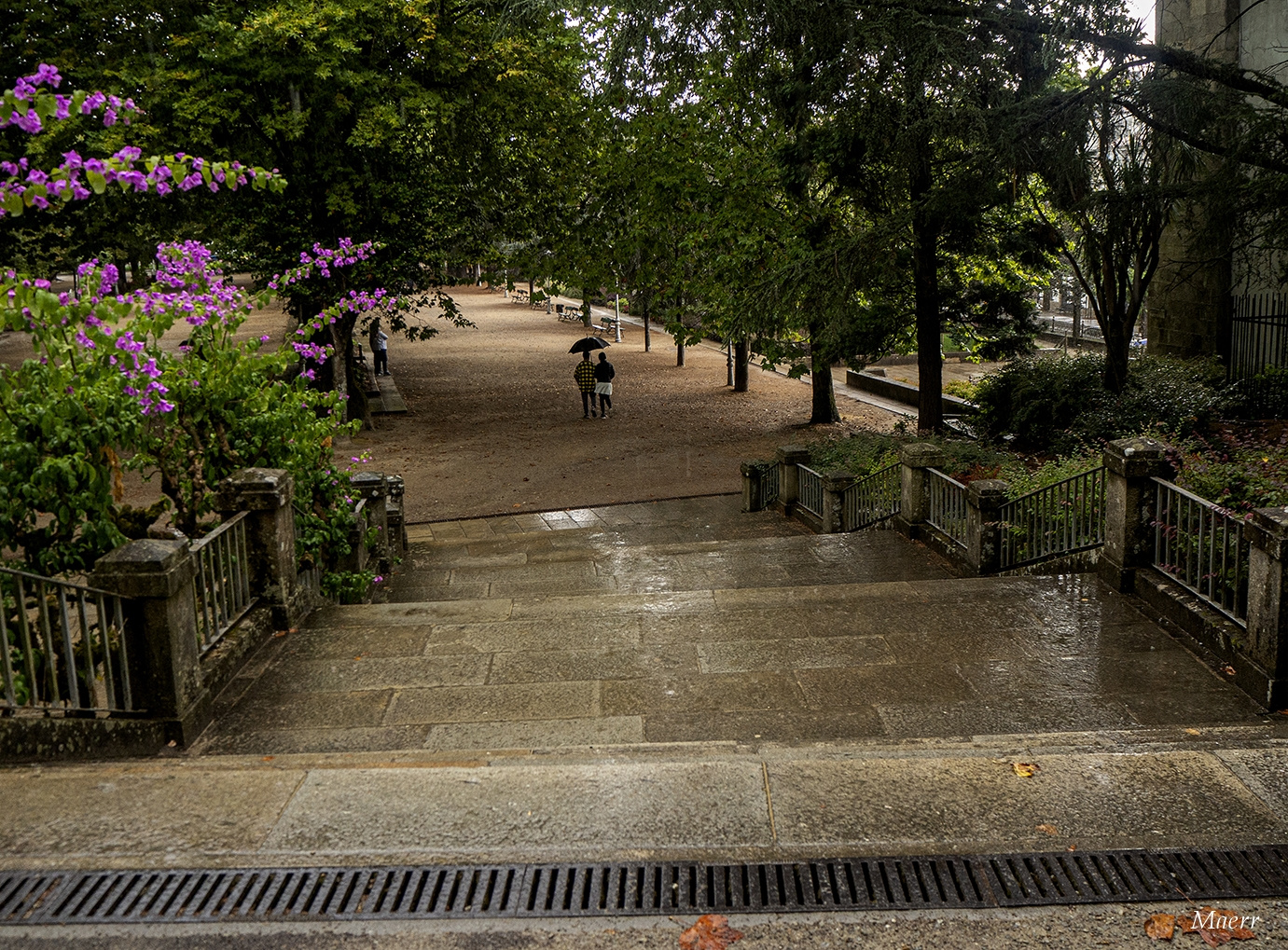 LLuvias veraniegas