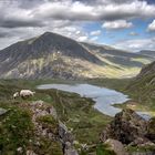 Llyn Idwal