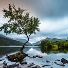 Llyn Padarn 