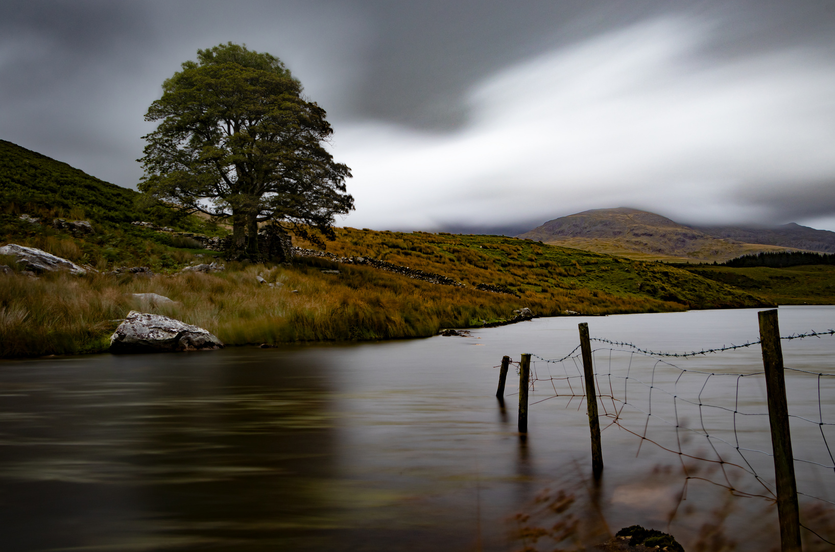 Llyn y Dywarchen