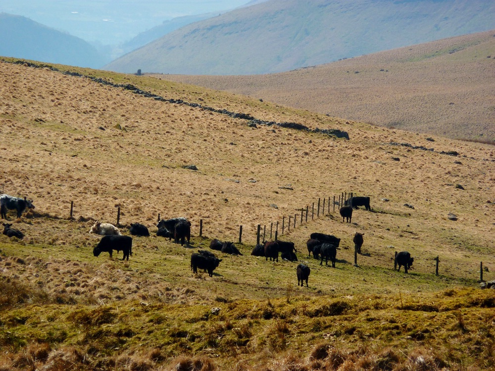 Llyn y Fan Fawr 1