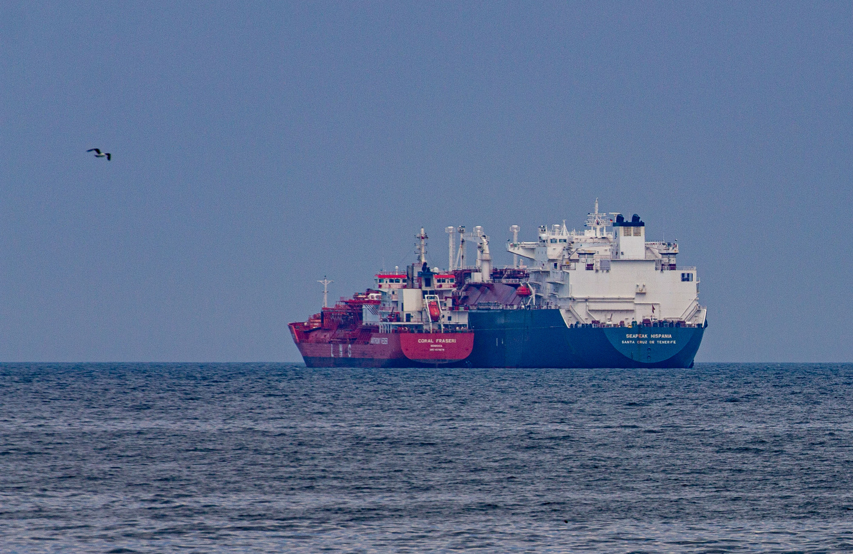 LNG-Schiffe vor Rügen