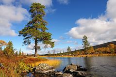 Långfjällets Naturreservat